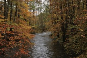 Blick vom Mariannensteg