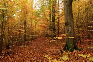 Aufstieg zum Sitzendorfblick