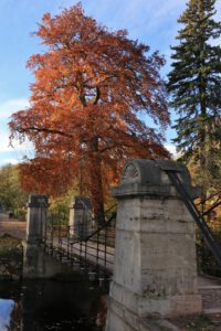 Weimar, Schaukelbrücke