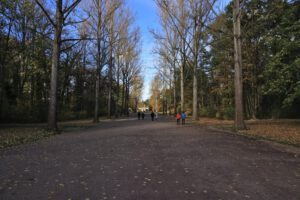 Weimar, Allee im Ilmpark