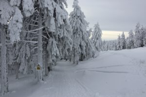 Auf dem Weg ins Tal