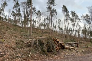 Ein trauriger Anblick