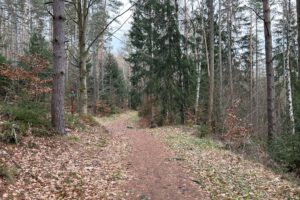 Hinter dem Ratssteinbruck war der Mittlere Berggraben weg noch so, wie wir ihn kennen.