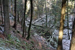 Im Vater-unser-Tal
