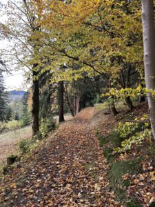 Auf dem Leitweg