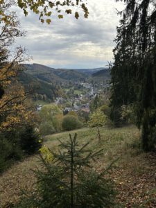 Manebach