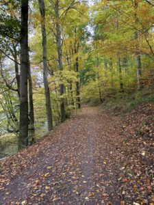 Auf dem Dollstädtweg neben der Ilm in Richtung Ilmenau
