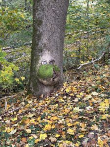 Die Spaßgesellschaft und die Natur