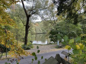 Am Ritzebühler Teich